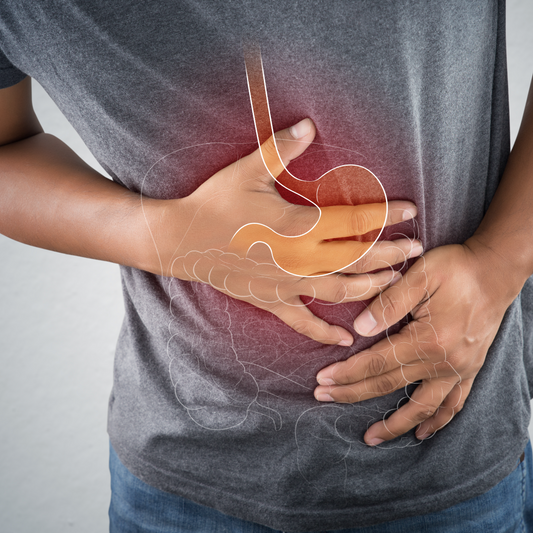 A person in a gray shirt holds their stomach with both hands, showing signs of discomfort, while a transparent illustration of the digestive system overlays their torso.