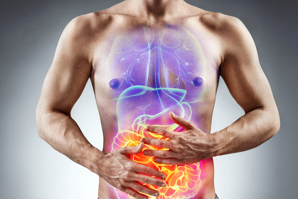 A muscular man holds his stomach with both hands, showing an illuminated graphic of internal organs, emphasizing digestive issues against a gray background.