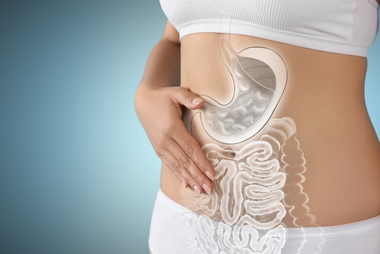 A person in a white top gently holds their stomach, with a transparent illustration of the digestive system overlaid, highlighting the stomach and intestines against a soft blue background.