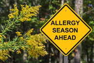 A bright yellow warning sign reading "ALLERGY SEASON AHEAD" stands next to flowering plants in a wooded area, indicating the approach of seasonal allergies.