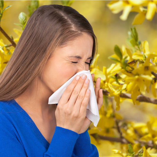 A young woman in a blue sweater is holding a tissue to her nose, squinting in discomfort, with bright yellow flowers in the background, indicating she is experiencing seasonal allergies.